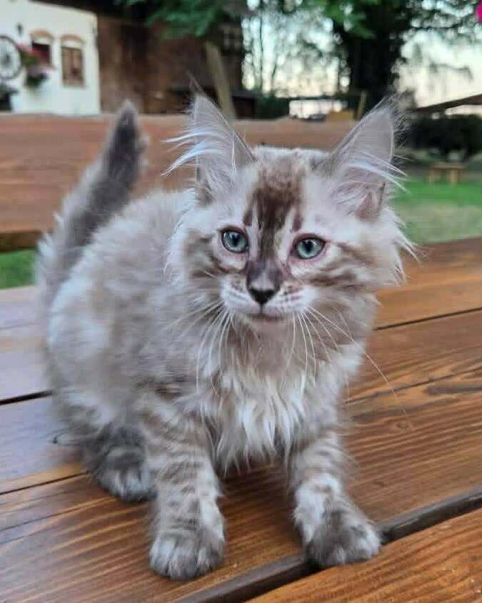 Sally&nbsp;