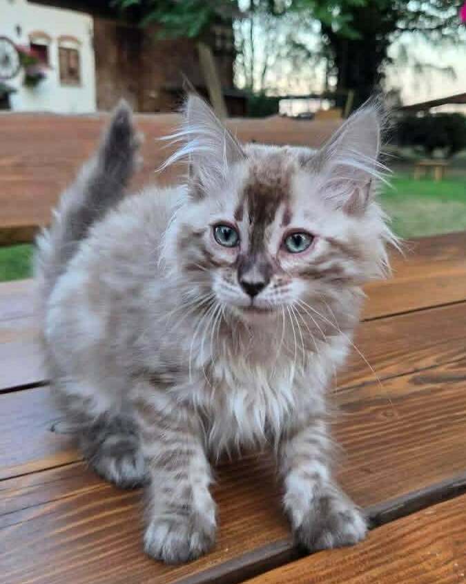 Sally&nbsp;