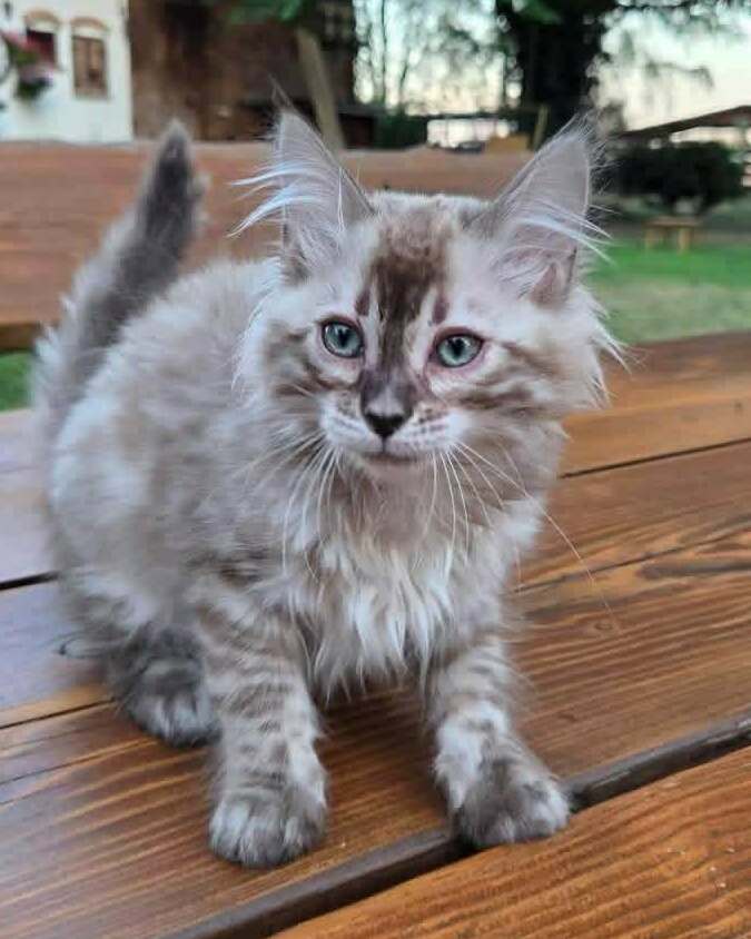 Sally&nbsp;