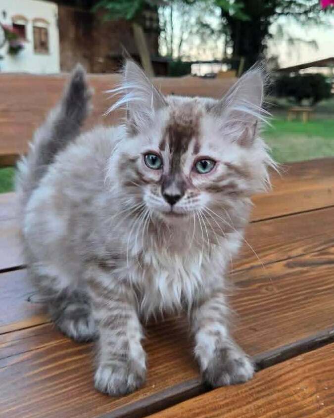 Sally&nbsp;