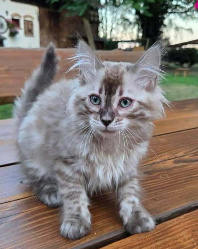 Sally&nbsp;